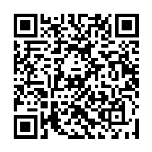 包括和几个女生围在两张空椅子前站着的一个娇小身影二维码生成