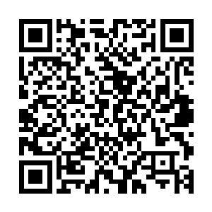 包括在内门山门口和外门山门口的华阳宗和神机宗守门的修士二维码生成