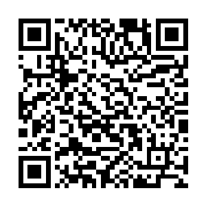 包括找水军在网上发贴暴炒这起案子也都是徐虹所为二维码生成
