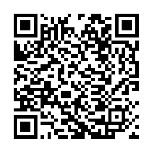 包括苏凡在内的五十一个人全部都套上专业的潜水设备二维码生成