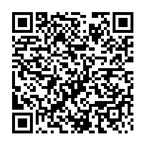 北地的很多地方重新焕发了生机――和拉维斯附近的两大公国不同二维码生成