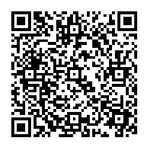 北方机械厂劳动服务公司下属的北方房产开发有限公司这几家企业背靠着自己身后的大树二维码生成