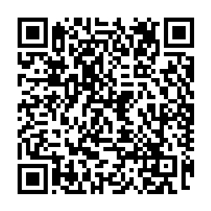 北此刻站在我的身边看着此刻将那通体血红的苍龙剑抓在手上的小凡二维码生成