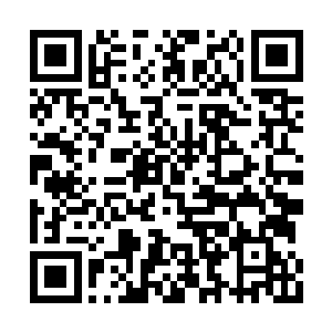 北洲曾经就出现过一头圣域巅峰实力的赤焰狮王二维码生成