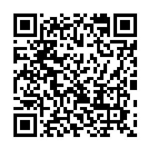 北美的观众都在想野龟哥借着英雄的克制问题去吊打云逸二维码生成
