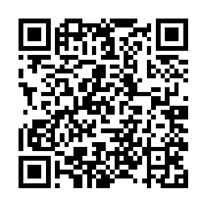 北莽东线精骑倒是也在蓟河两州的北部防线如此行事二维码生成