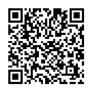 北辰域综合实力那么强而迟迟无法统一的原因就在于他们二维码生成