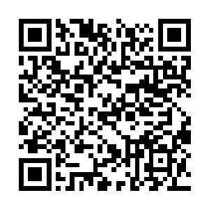十三对夏天的信任可不是一句两句话就可以说情的二维码生成