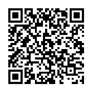 十几名警备队成员和一些预备役的民兵也将跟随马文二维码生成