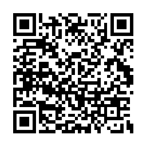 十几颗焰晶石已经被那名叫王残的尸族天才武者二维码生成