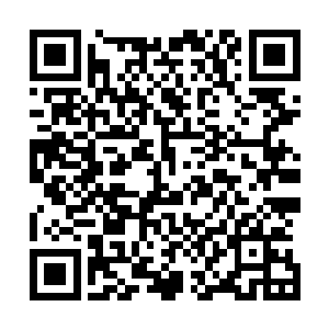 十多辆挂着三十九师团牌照的大客车在黑炎城安静的穿梭着二维码生成