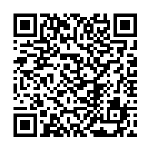 十大剑府一百位剑―豪都被打乱了顺序重新调整安排二维码生成