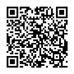 十娘跳江那日怀抱价值连城宝箱的模样重又浮现在他眼前二维码生成