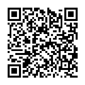 十寒古地的人族本来就由六大亚圣世家加宗家组成二维码生成