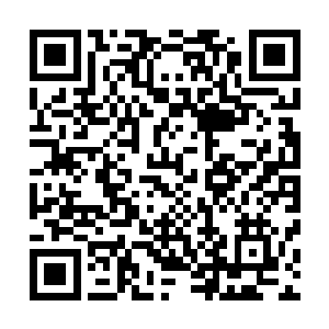 十艘战舟已经被自爆妖丹的妖族炸裂的根本无法再正常使用二维码生成