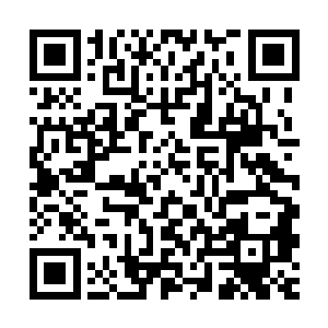 千符峰真传弟子的实力已经做到了真正意义上的完全超越宝器峰二维码生成