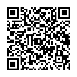 半夜观察时候巴克就觉得这可能是古时候防备兵马冲击二维码生成