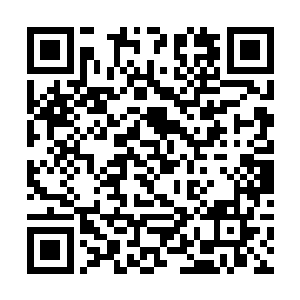 半小时不到那么我不保证下个星期录制你能全身而退二维码生成