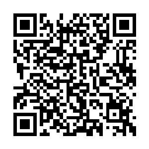 华夏大神他们能感应到屏障内部狂暴的能量宣泄二维码生成