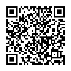 卓景撑着地接着路灯的光看着我吐在一层薄薄白雪上的沫子二维码生成