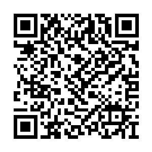 卓谦之许是因为这洞府外的阵法勾起了自身兴趣二维码生成