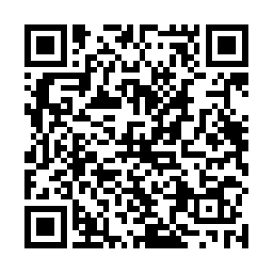 单位都会进行一轮又一轮的贯彻两会精神的学习和会议二维码生成