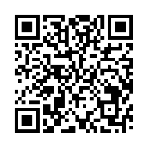 单就这金字塔建筑里目前有的人而言二维码生成