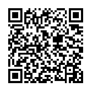 单手捏住他脖子的风清扬漠然的看着正一脸疯狂的冷武器二维码生成