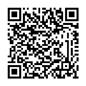 单是她对傅风雪的栽赃陷害就足够把她关一辈子二维码生成