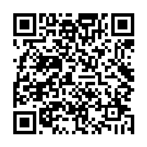南方修士这几日已经提出好几次请你担任南方修士联盟盟主二维码生成