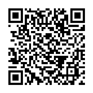 南方隐世道门是不会随意把一个一级道门拱手送审的二维码生成