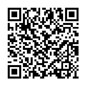 卢八娘觉得自己没有吐出一口血晕过去真不容易二维码生成