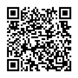 卢卡斯这熊孩子让高扬的眼珠子差点儿给瞪了出来二维码生成