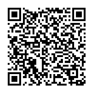 卢向东主持过工作的青山乡村建办和开发区管委会都曾经出现过蛀虫二维码生成