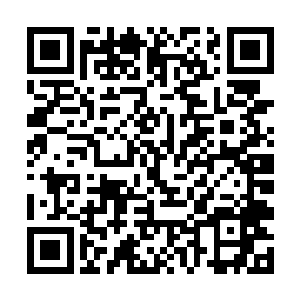 卢苇一副战胜的公鸡一样叉腰站在那里得意叫嚷几声二维码生成