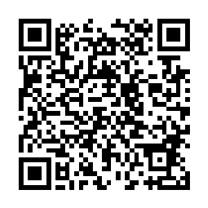 卫东刚才还白送了一株价值几百万的百年人参给爷爷呢二维码生成