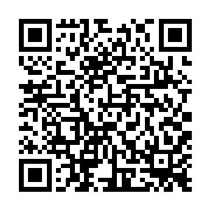 卫大姐看到一个个活蹦乱跳的小家伙就像天上掉下来似的二维码生成