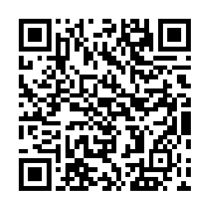 卫晨闻言偷偷瞄了一眼正和夏云杰手拉手登上警艇的秦岚二维码生成