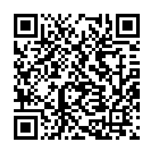 危西华带着他的一群师兄弟们浩浩荡荡的就过来了二维码生成