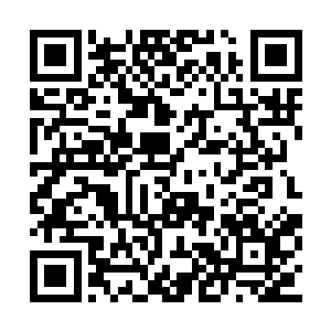 即便她在这些普通异能者面前有足够的自保之力二维码生成