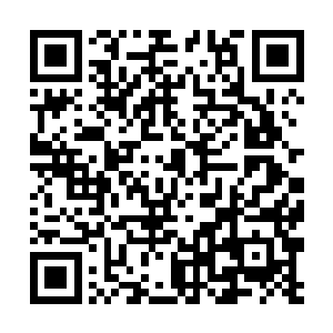 即便我们能把整个帝国的血管和神经末梢都清洗一遍二维码生成