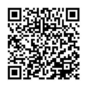 即便是其他的亚军和季军也是可以获得十万元和五万元的奖金二维码生成
