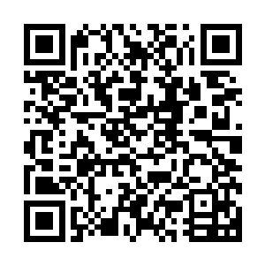即便是实力达到圣皇八重天巅峰的陶正天都感觉一阵心惊胆战二维码生成
