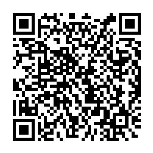 即便是我戴了厚厚手套围了围巾戴了帽子把自己武装的跟个笨熊一样二维码生成