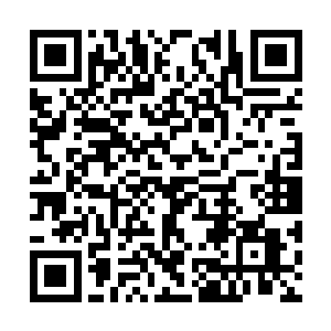 即便是把它们的身躯烧成灰烬也无法阻止他们复活二维码生成