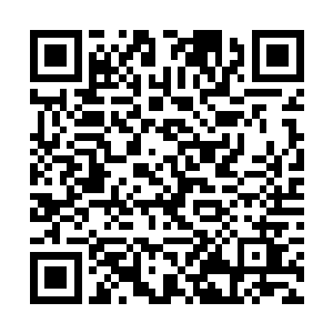 即便是死了也不会有人第一时间就怀疑到她蓝蓝身上二维码生成
