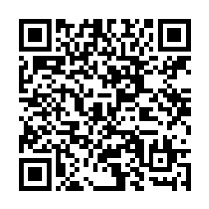 即便这修仙的世界里有着种种科学无法解释的事情二维码生成