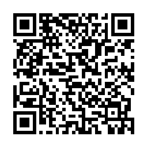 即将到来的仙农洞府之行他正准备派出所有练气期的弟子二维码生成