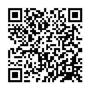 却一下子让另外几个旁边的年轻骑士脸上一下子绷了起来二维码生成