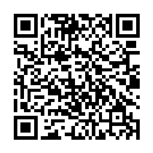 却不代表她会像蓝熙尧一样还没来得及反应就束手就擒二维码生成